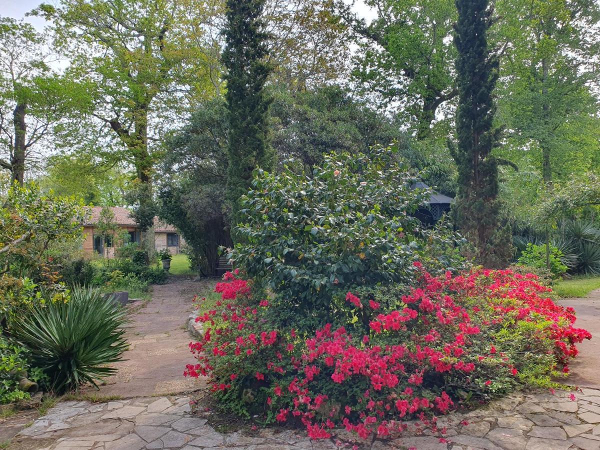 Manoir De Tireveste Lesperon  Εξωτερικό φωτογραφία