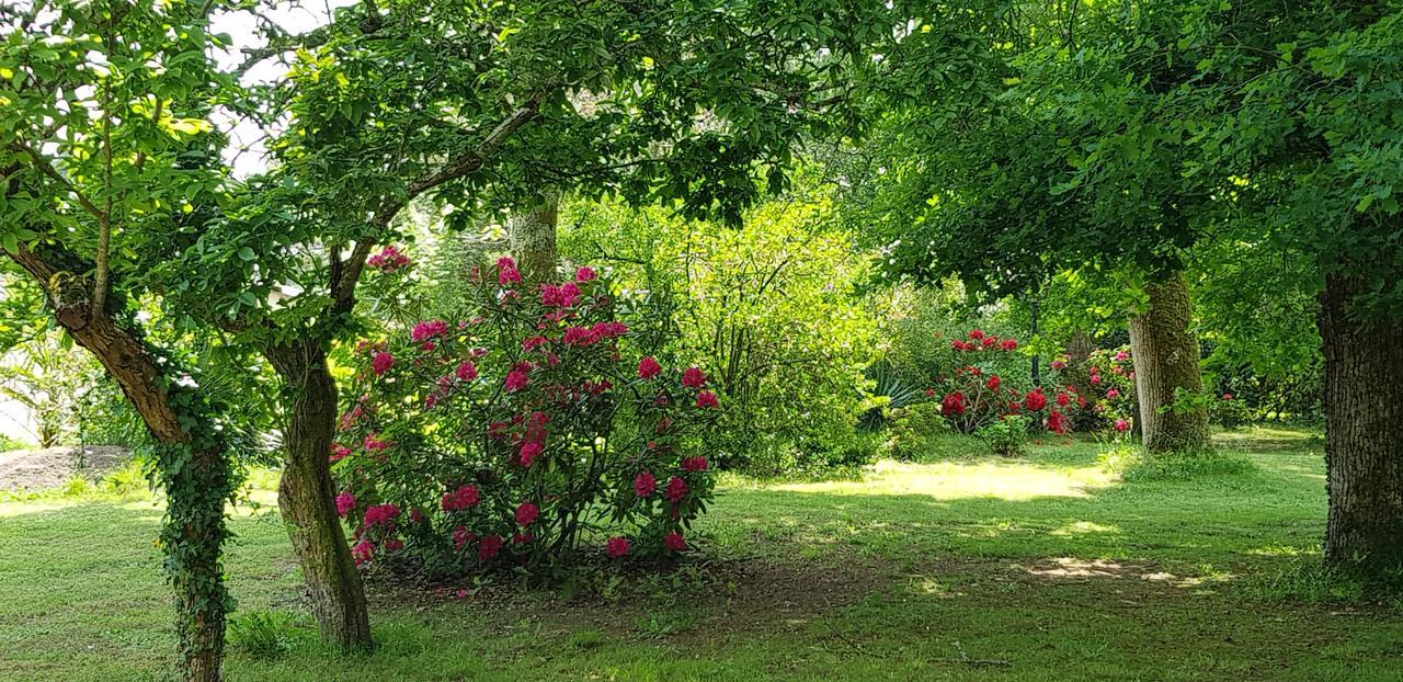 Manoir De Tireveste Lesperon  Εξωτερικό φωτογραφία